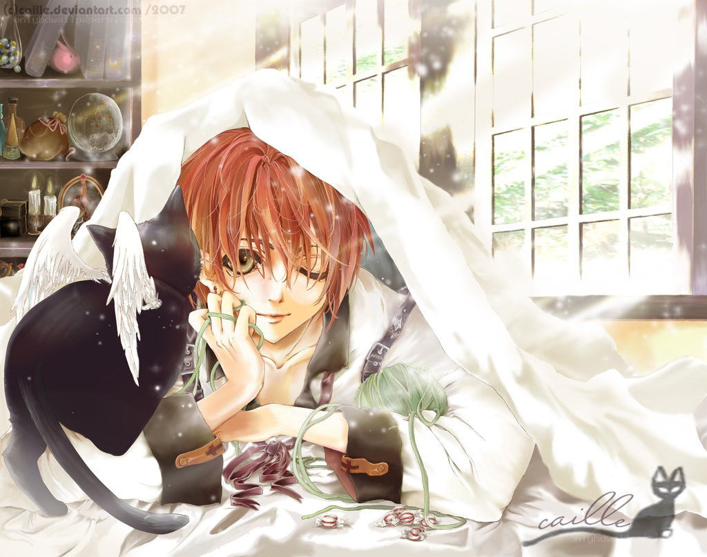 Red-haired boy with cat