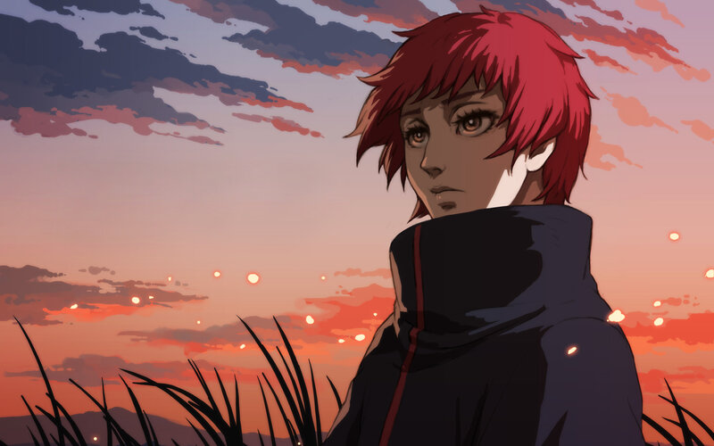 red-haired character at sunset