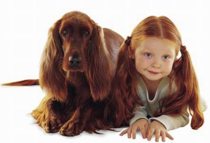 Red-haired Girl with Dog — Brown
