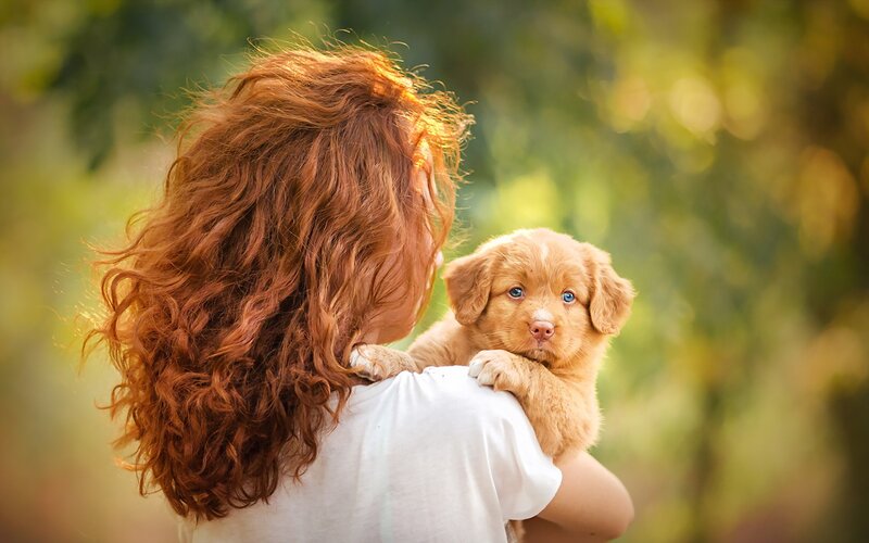 Red-haired Person Holding Puppy