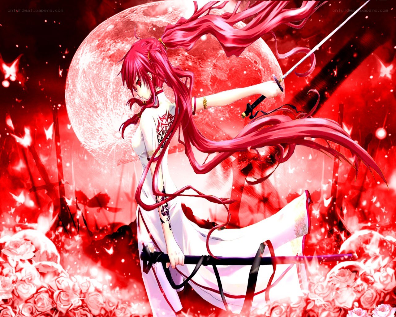 Red-haired warrior with swords
