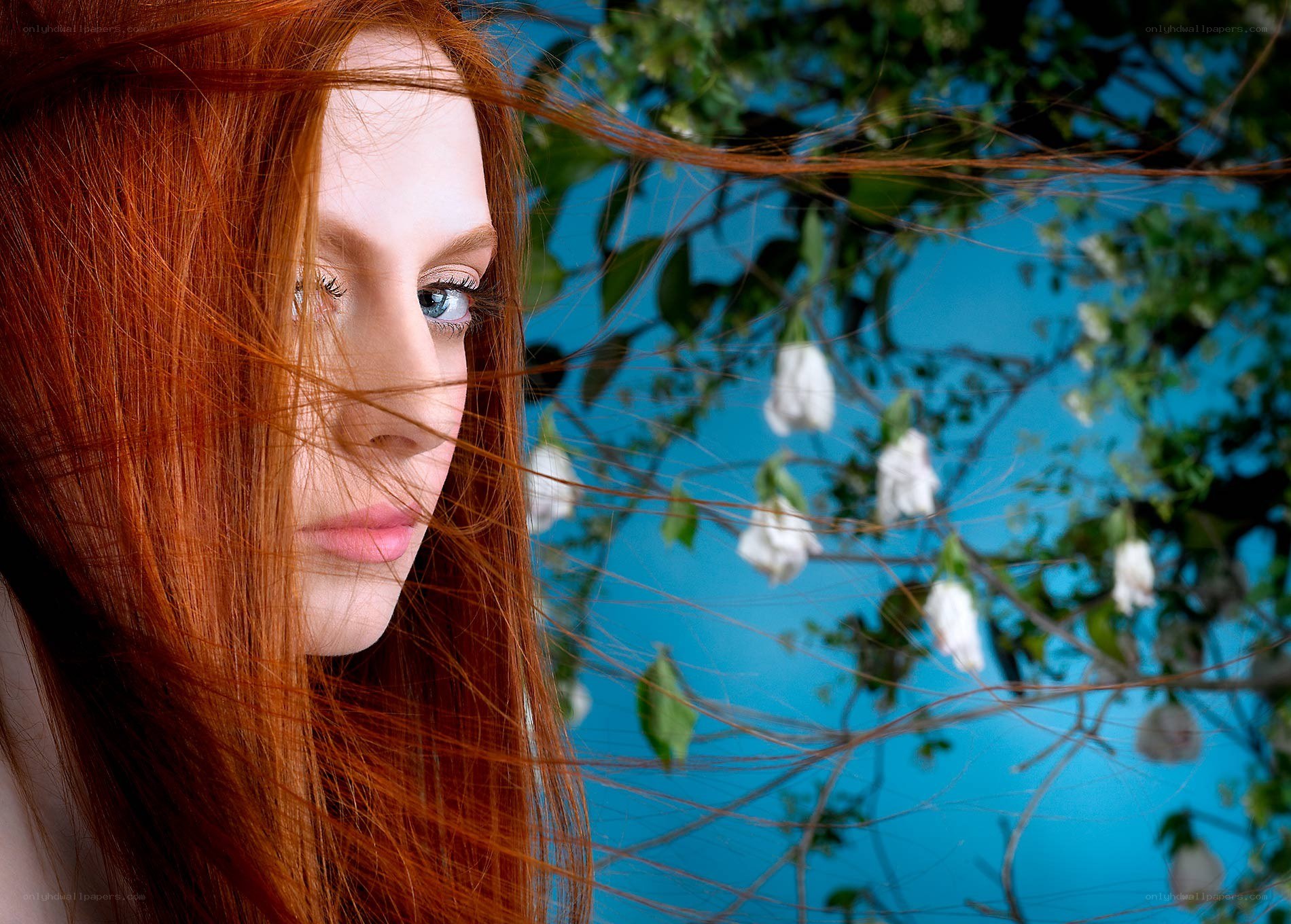 red-haired woman in wind