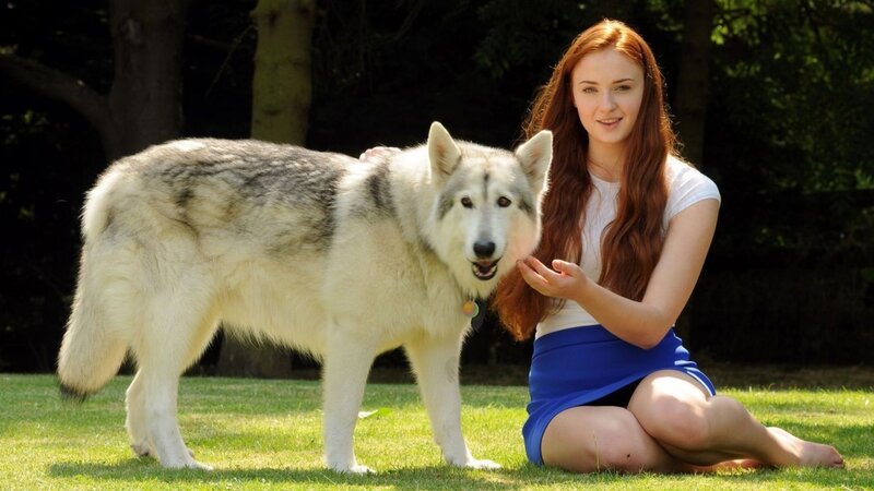 Red-haired Woman with Husky — Green, Calm