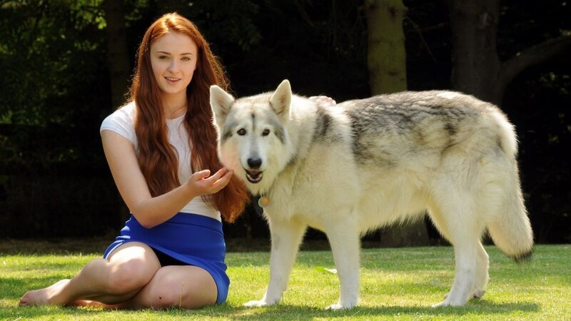 Red-haired Woman with Husky — Green