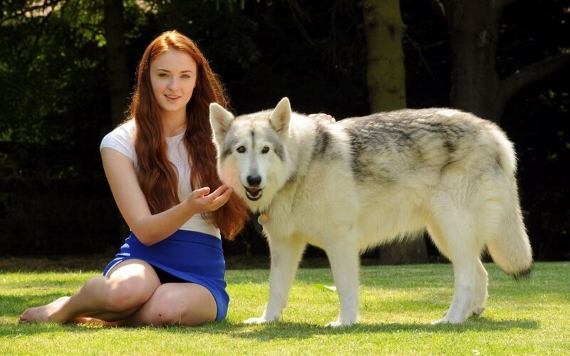 Red-haired Woman with Wolf — Green