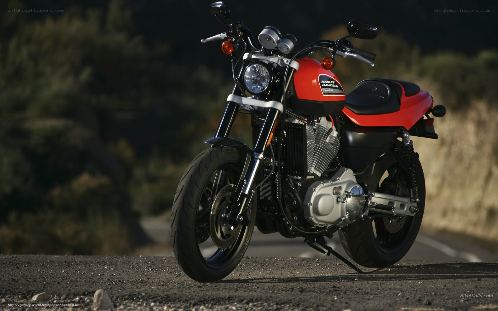 Red Harley-Davidson motorcycle