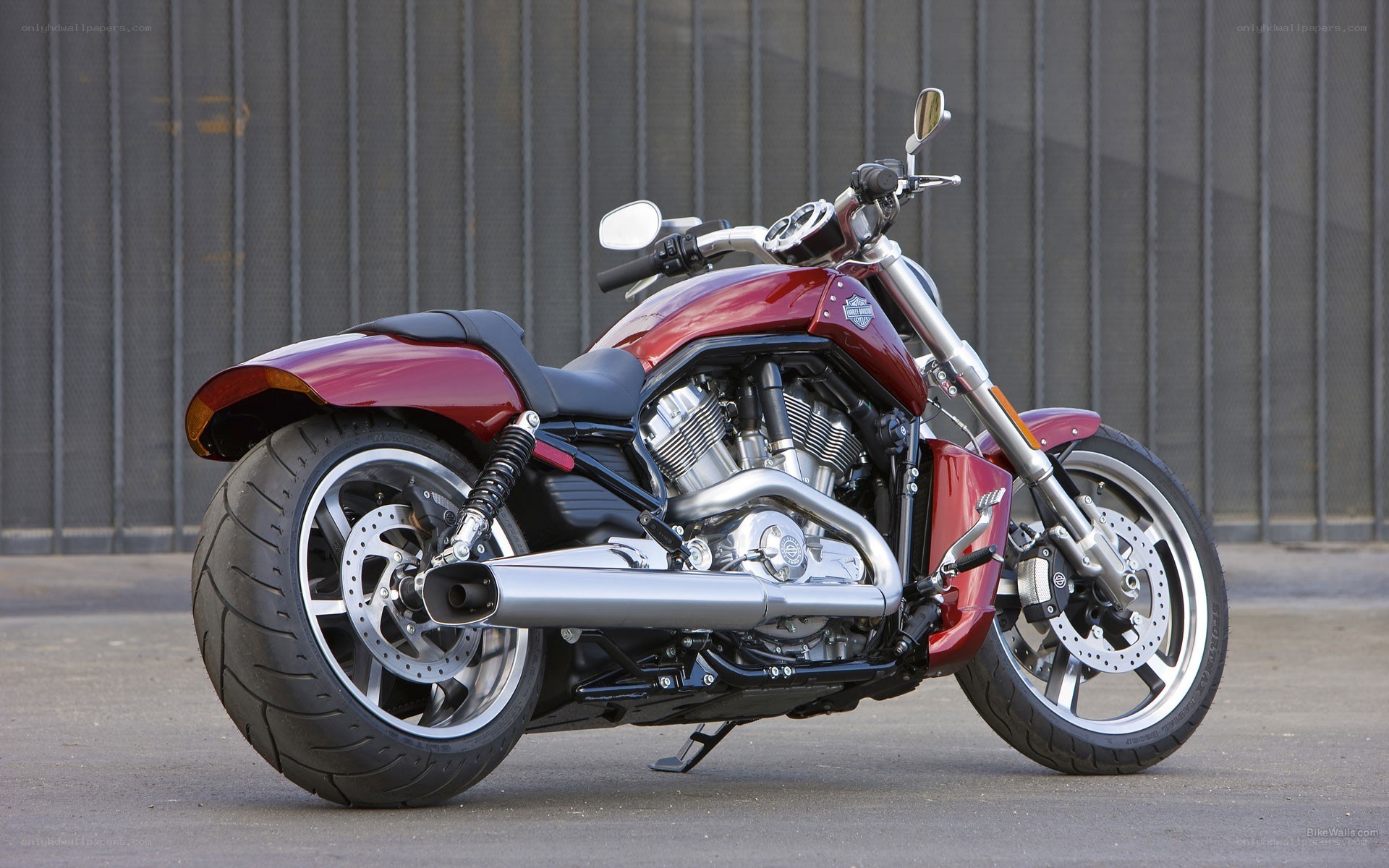 red harley-davidson motorcycle