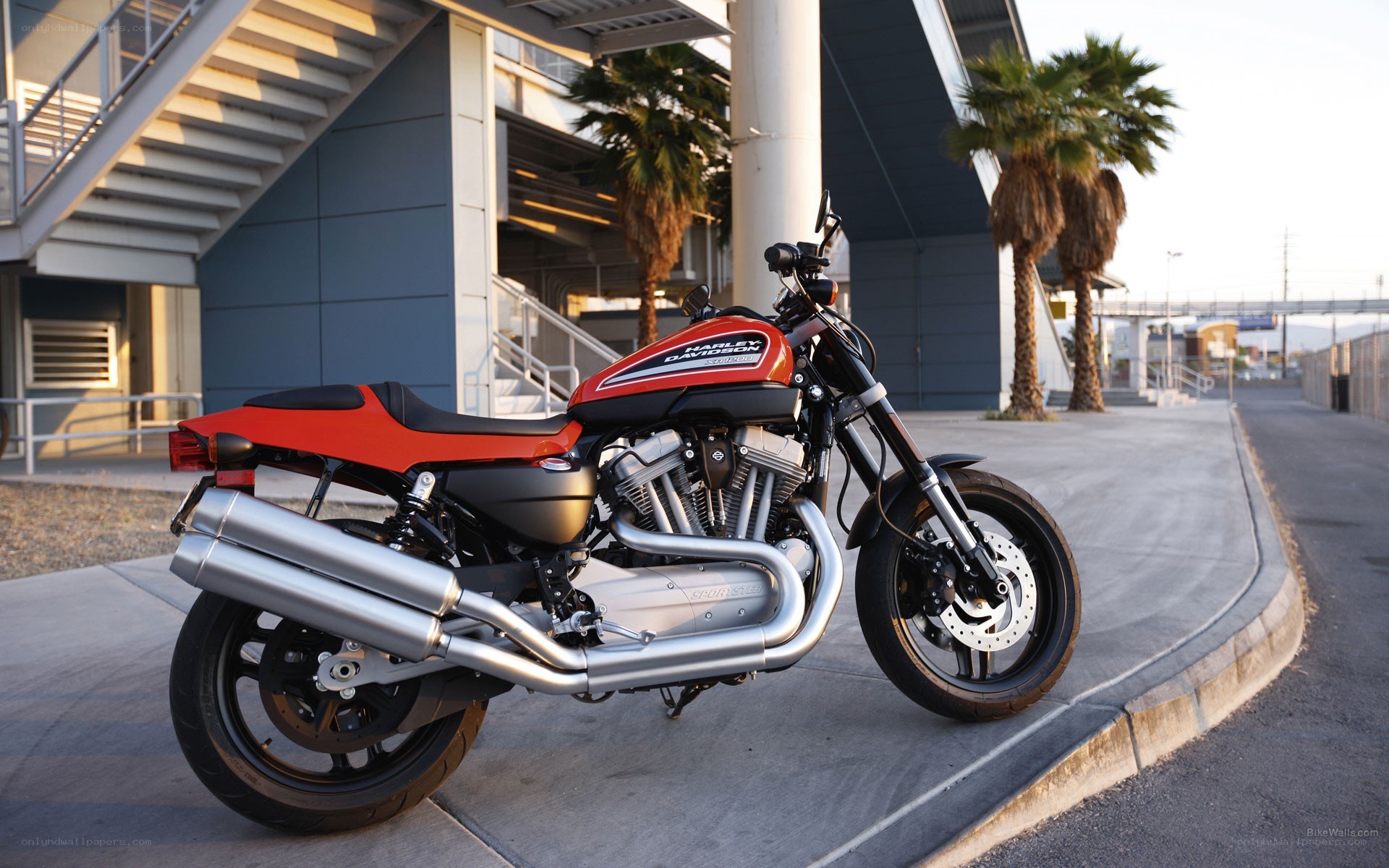 Red Harley-Davidson motorcycle