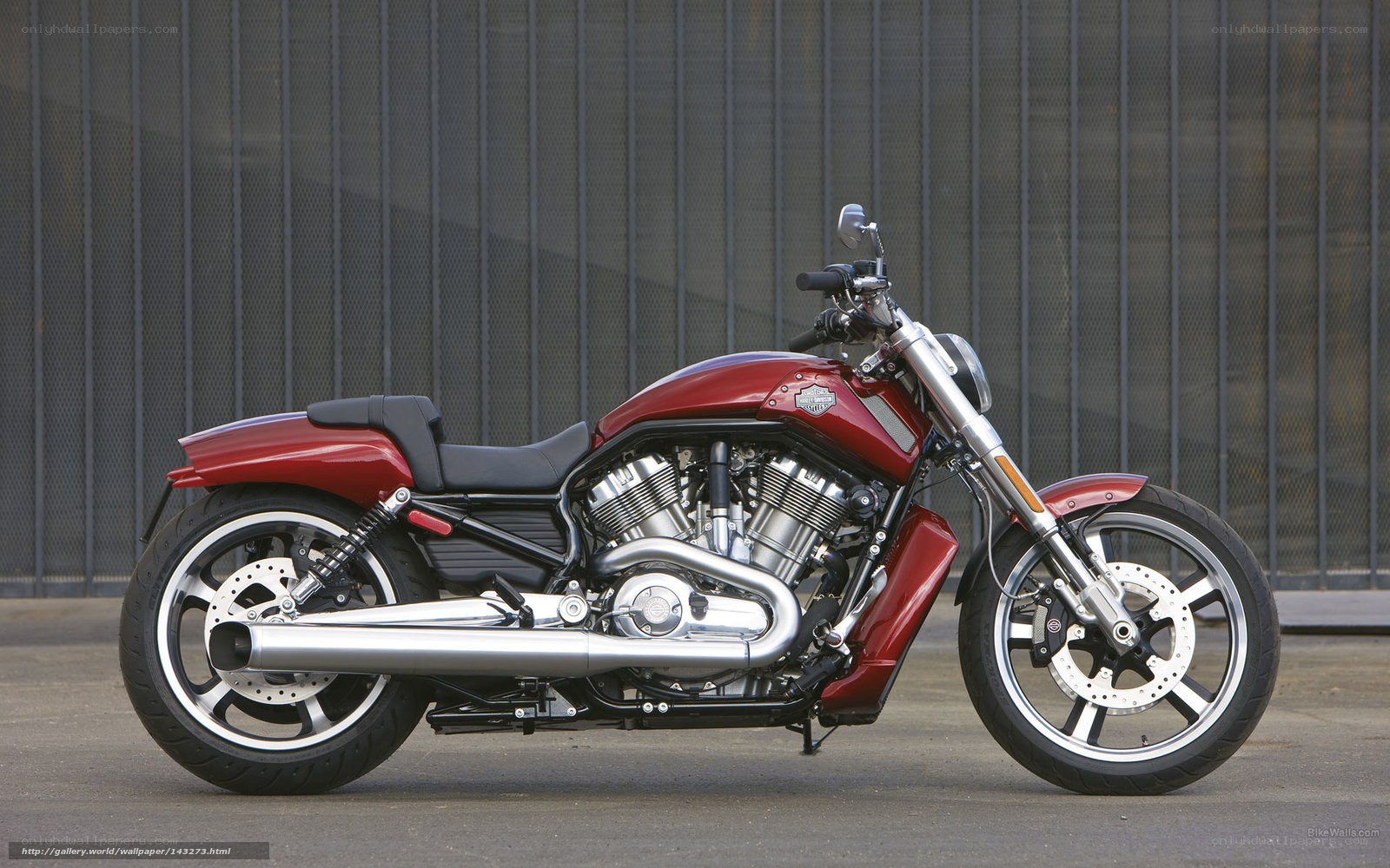 red harley-davidson motorcycle