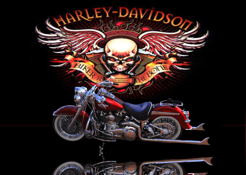 Red Harley-davidson Motorcycle — Black