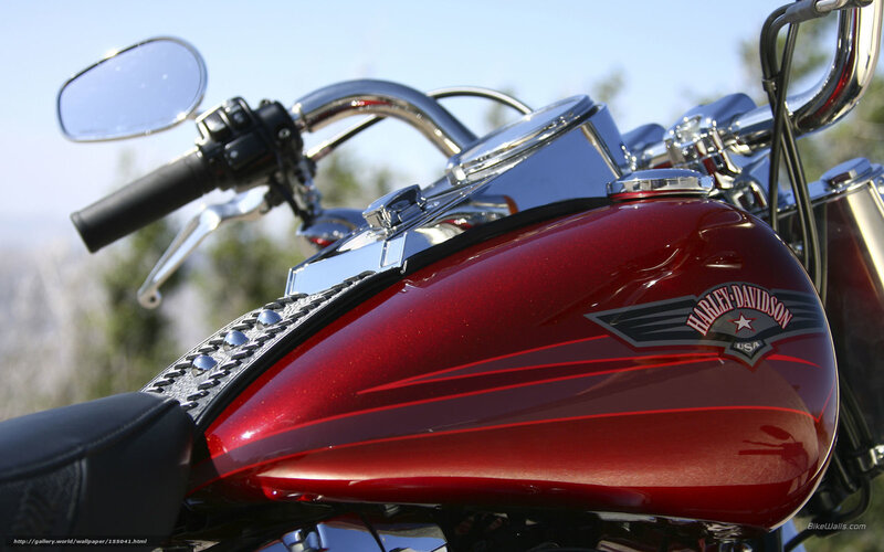 Red Harley-davidson Motorcycle — Calm, Afternoon, Photograph, Fuel Tank