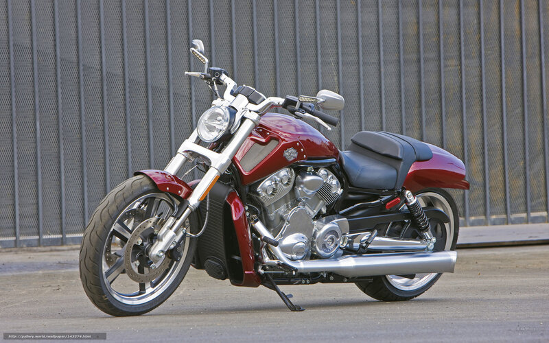 Red Harley-davidson Motorcycle — Neutral, Afternoon, Photograph