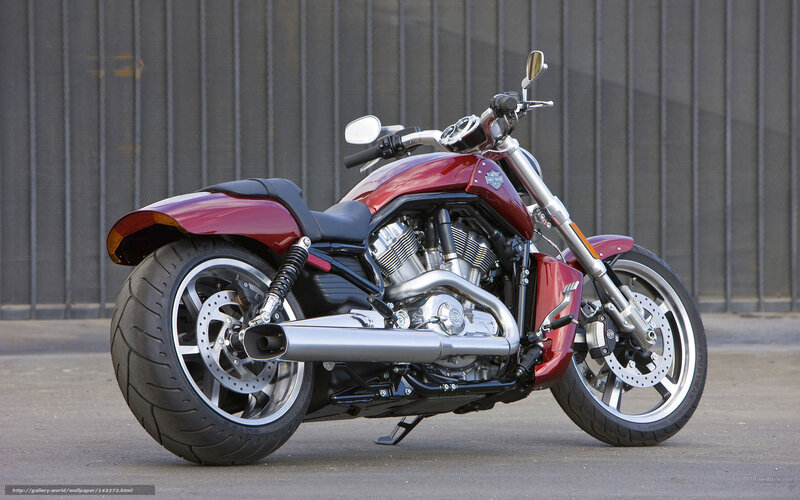 Red Harley-davidson Motorcycle — Neutral, Afternoon