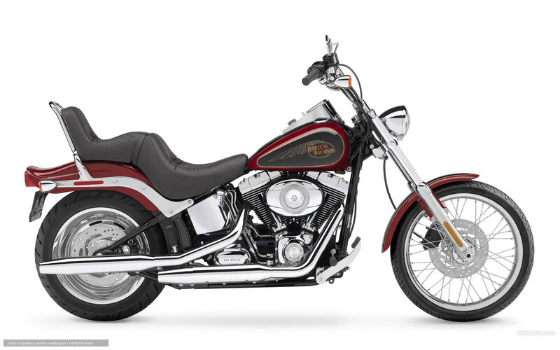Red Harley-davidson Motorcycle — Neutral, Photograph, Seat, Engine, Wheel