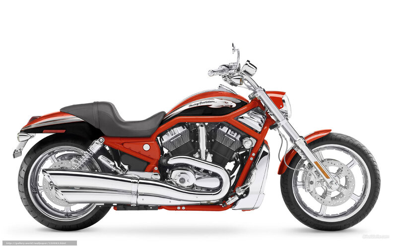 Red Harley-davidson Motorcycle — Neutral, Photograph, Seat, Exhaust, Engine
