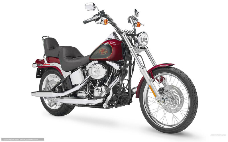 Red Harley-davidson Motorcycle — Neutral, Photograph, Seat, Headlight