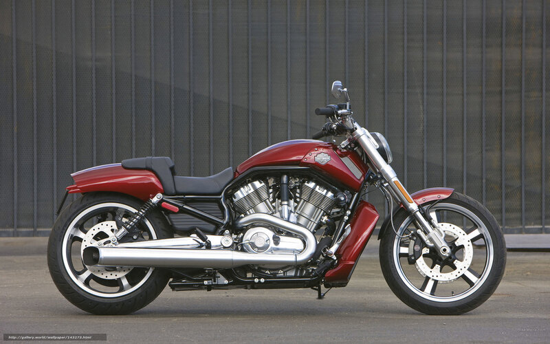 Red Harley-davidson Motorcycle — Neutral, Photograph, Seat