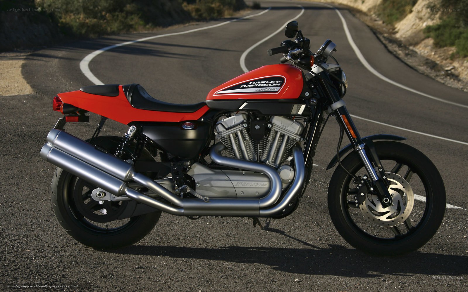Red Harley-Davidson motorcycle on road