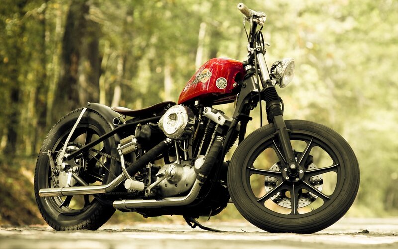 Red Harley-davidson Motorcycle — Serene, Afternoon, Photograph, Forest
