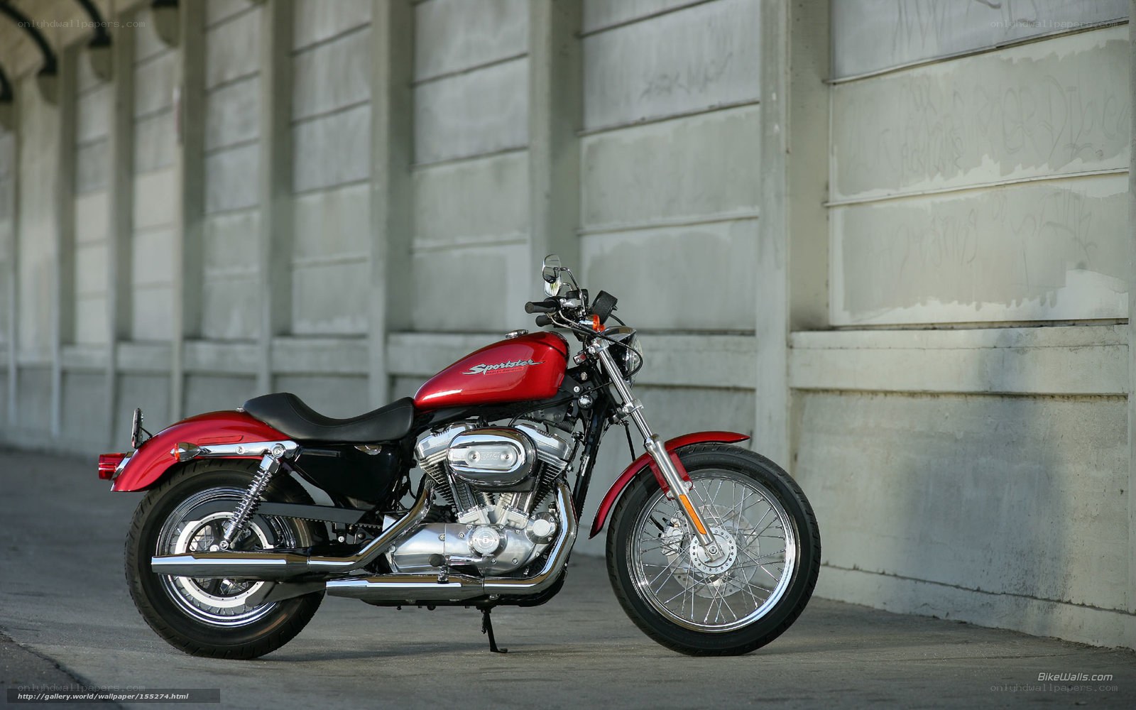 Red Harley-Davidson Sportster