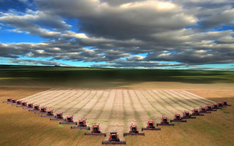 Red Harvesters in Field — Blue, Dramatic, Afternoon