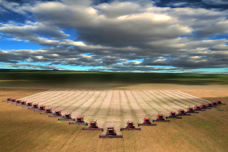 Red Harvesters in Field — Blue