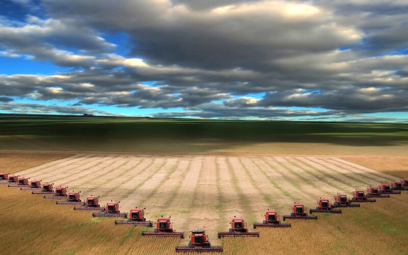 Red Harvesters in Field — Green, Dramatic, Afternoon