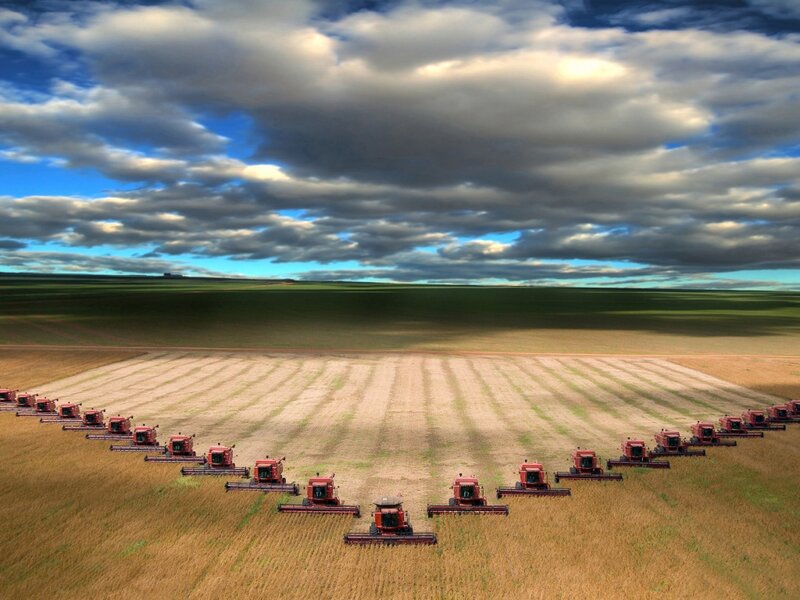 Red Harvesters in Field