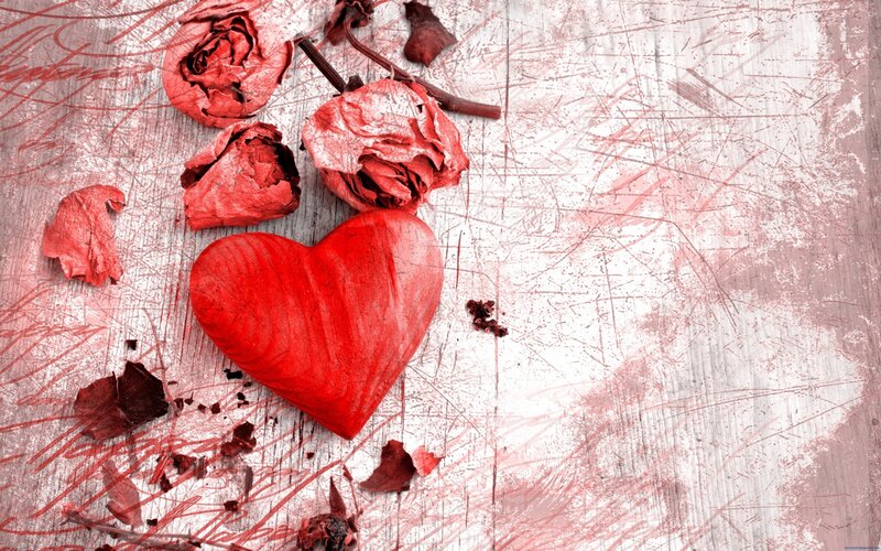 Red Heart and Dried Roses