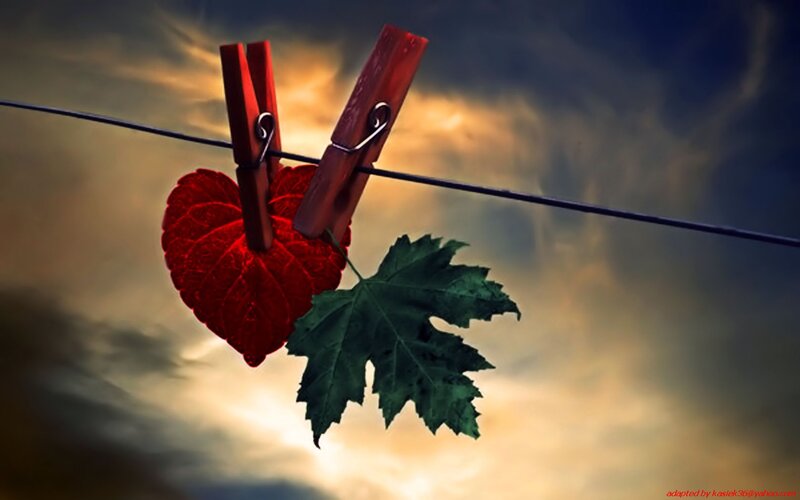 Red Heart and Green Leaf