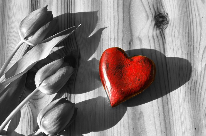 Red Heart and Tulips