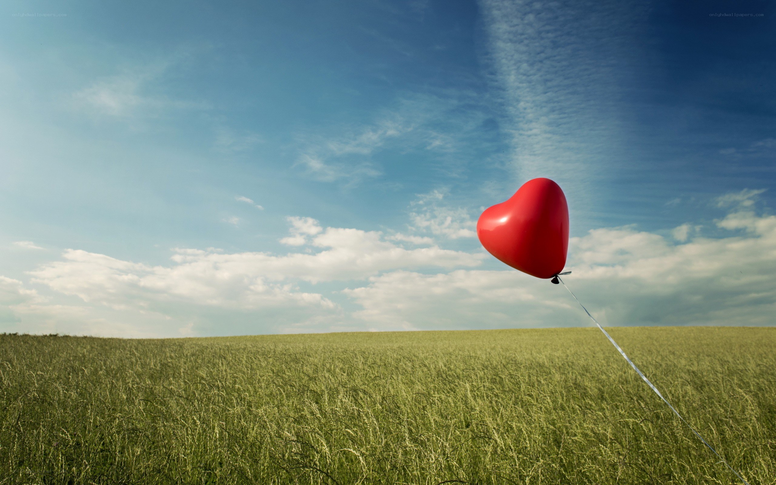 Red heart balloon in field