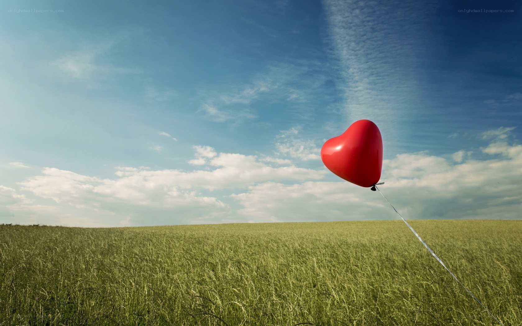 Red heart balloon in field
