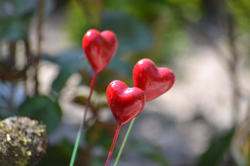Red Heart Decorations — Serene