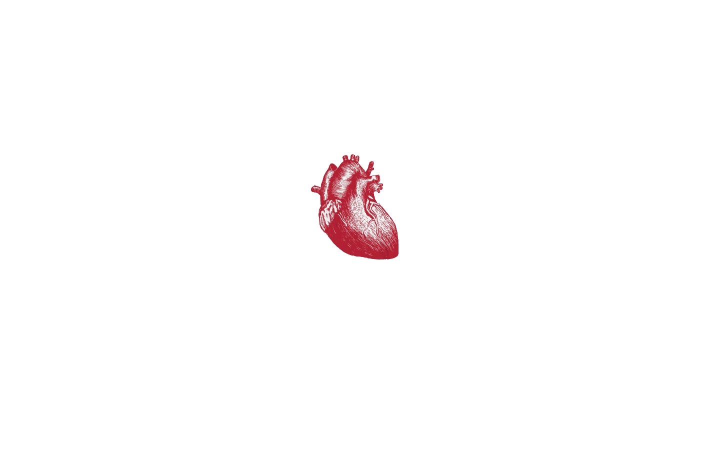 red heart illustration