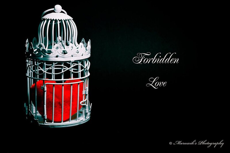 Red Heart in Birdcage — Black