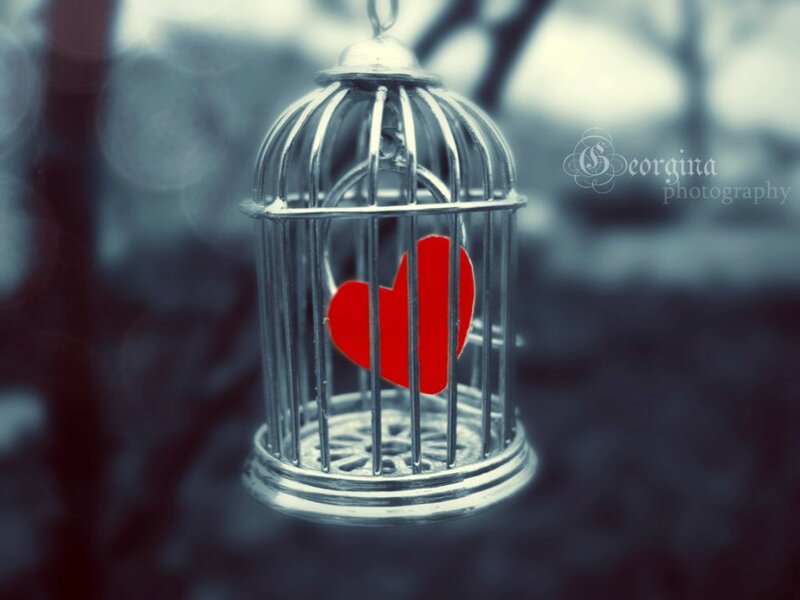 Red Heart in Birdcage
