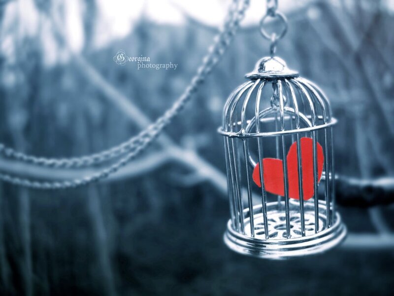 Red Heart in Cage