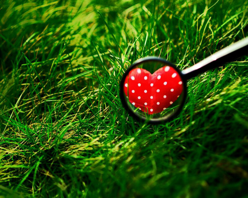Red Heart in Grass — Green