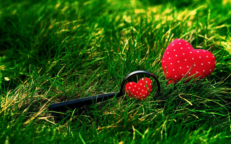 Red Heart in Grass