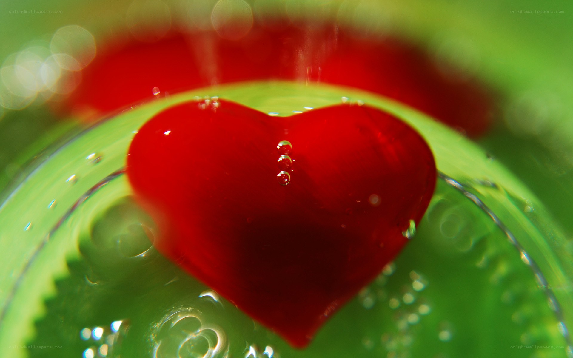 Red heart in green liquid