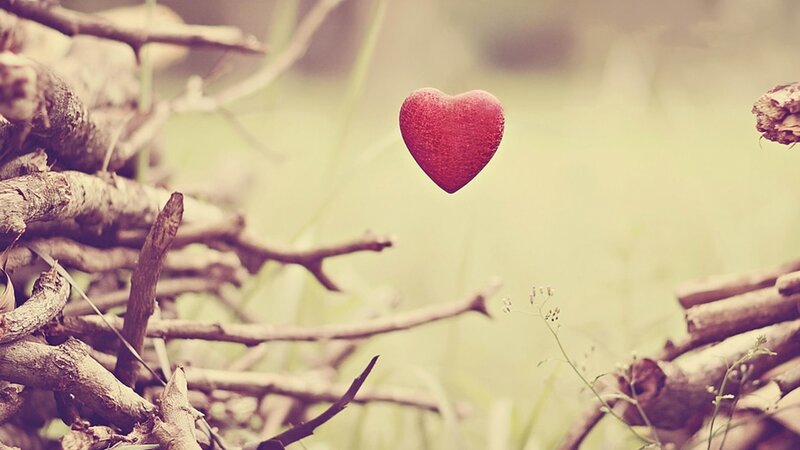 red heart in nature