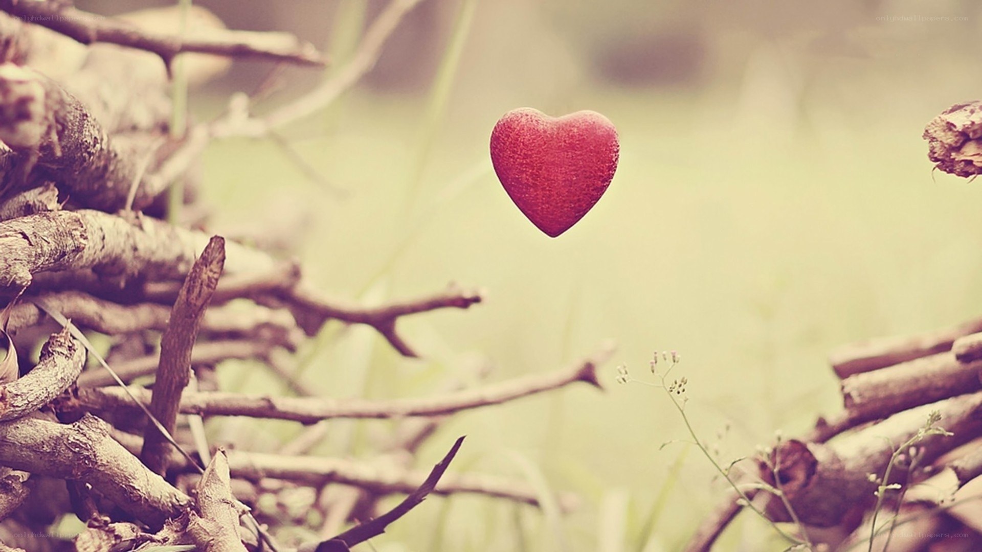 red heart in nature