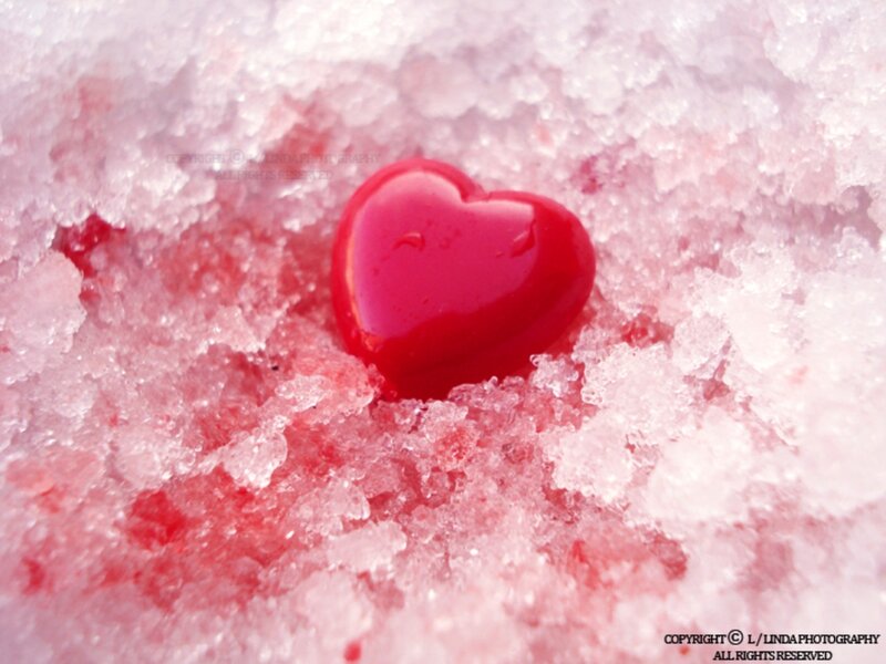 Red Heart in Snow — Calm, Winter