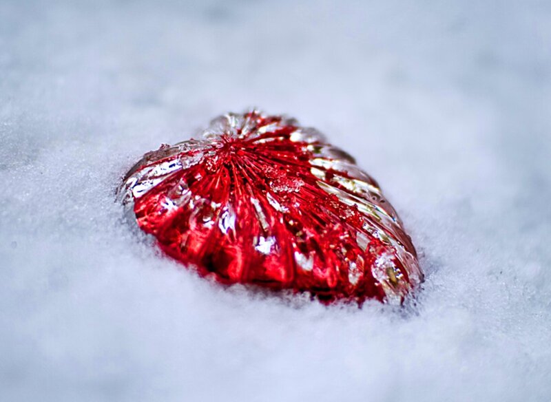 Red Heart in Snow — Cold