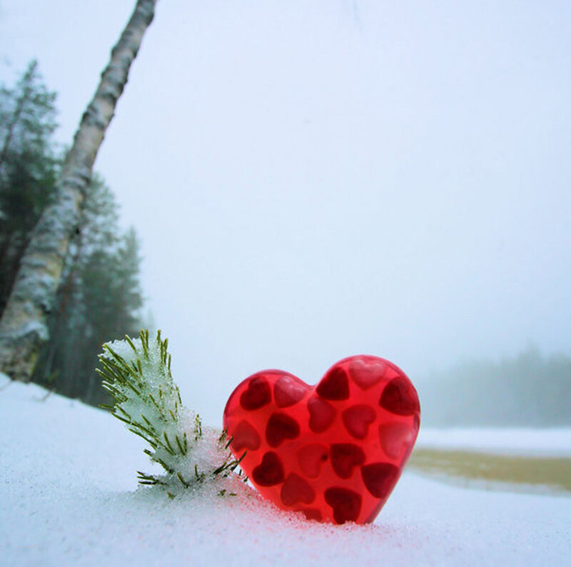Red Heart in Snow — Serene, Winter