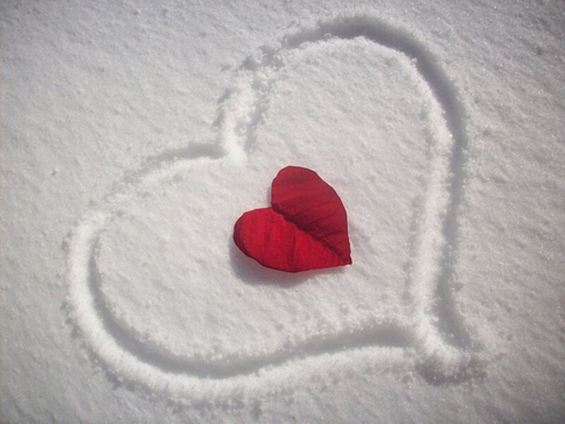 Red Heart in Snow — White, Serene
