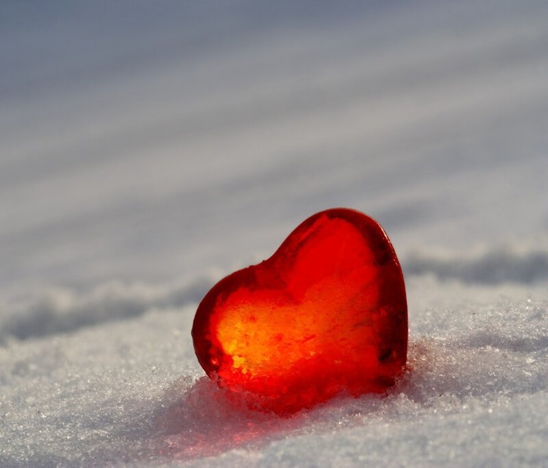 Red Heart in Snow — Winter