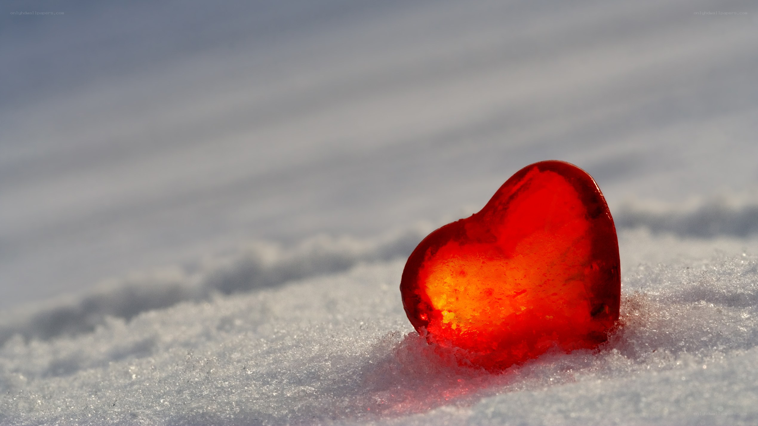 red heart in the snow