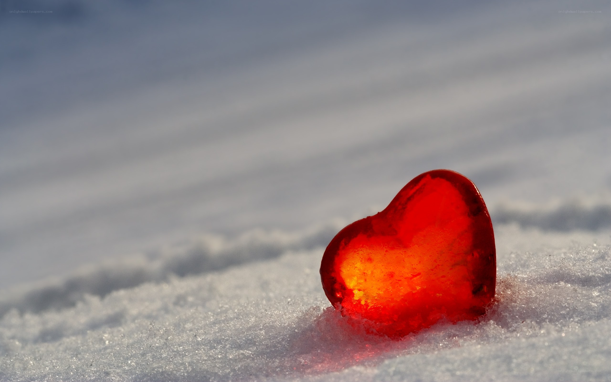 Red heart in the snow